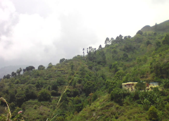 Hills view in Kodailanal