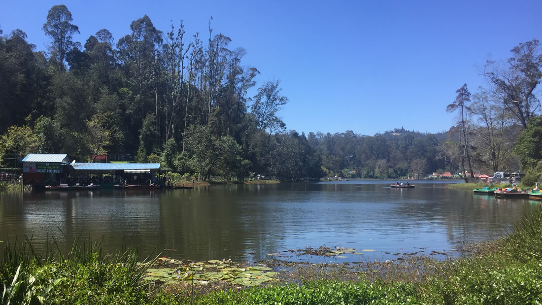 Resorts near Kodaikanal lake