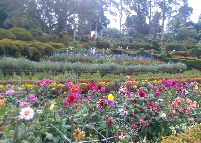 Garden view in Chettiar Park